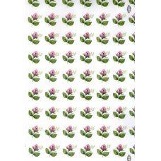 Ref. 79378 - Decalque botão rosa médio